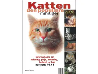 Katten - den populære minitiger