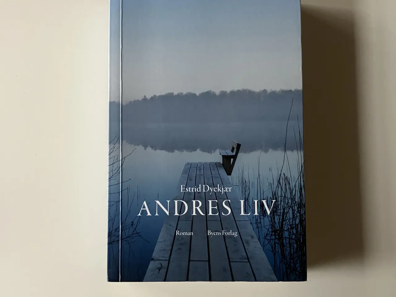 Billede 1 - Andres liv. Af Estrid Dyekjær