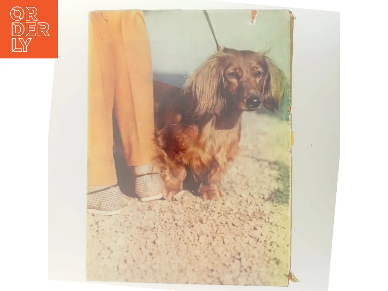 Billede 3 - Hunde af Erich Tylinek (Bog)