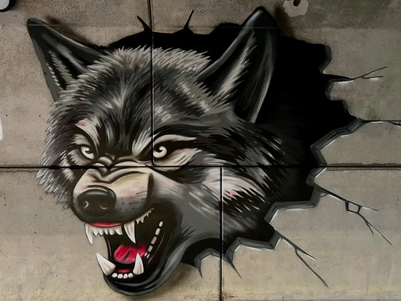 Billede 3 - Graffiti udsmykning