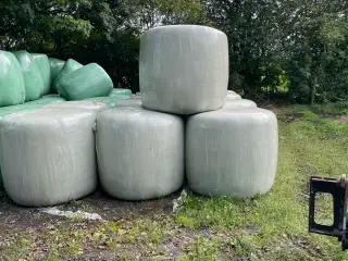 Byg helsæd 