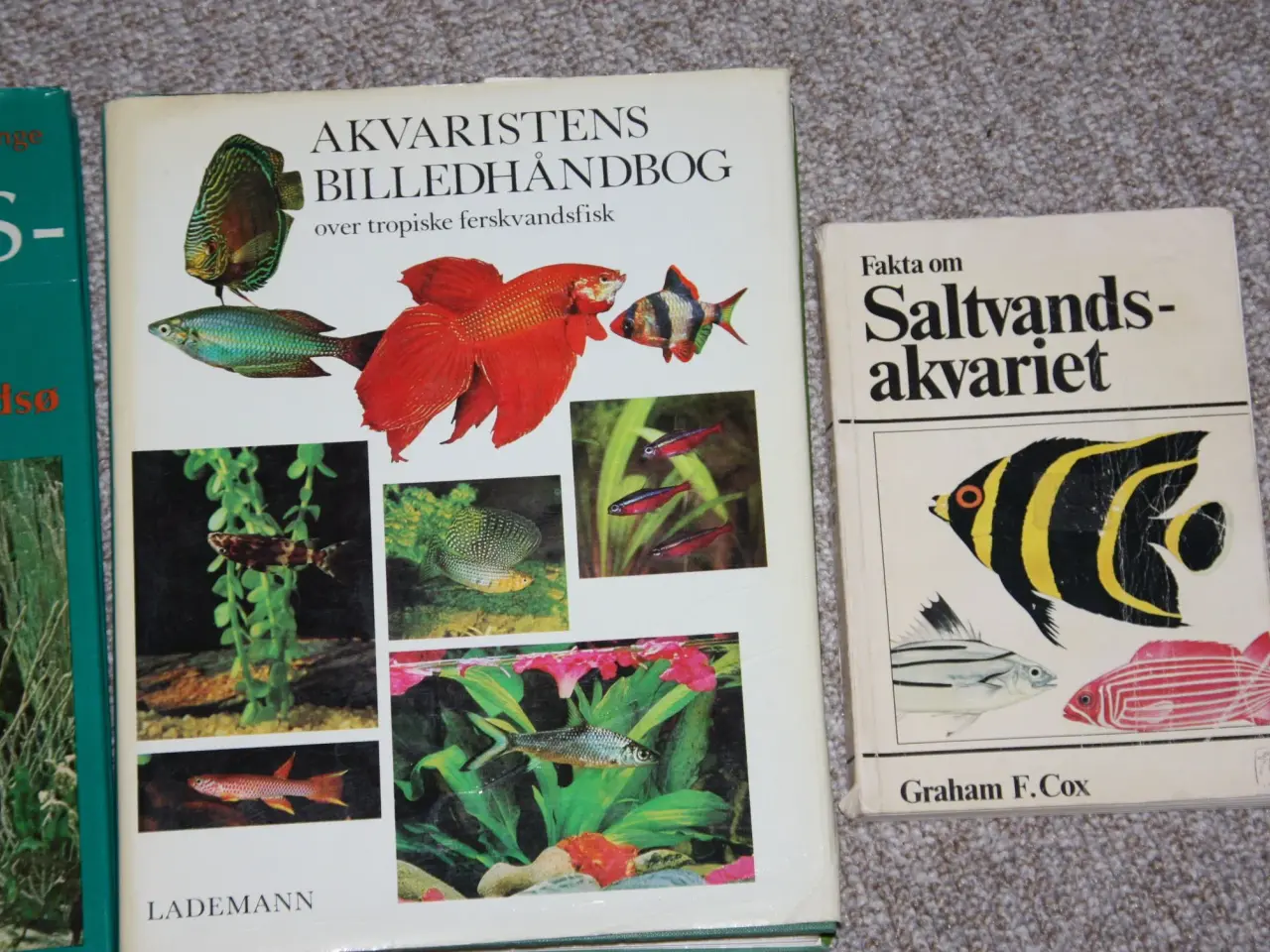 Billede 1 - Fakta om Saltvandsakvariet 