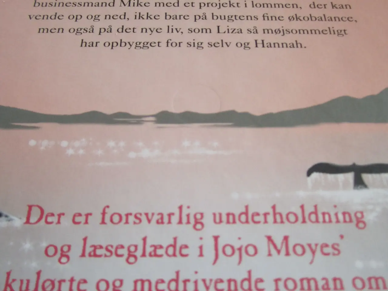 Billede 2 - JOJO MOYES. Hvalernes sang.