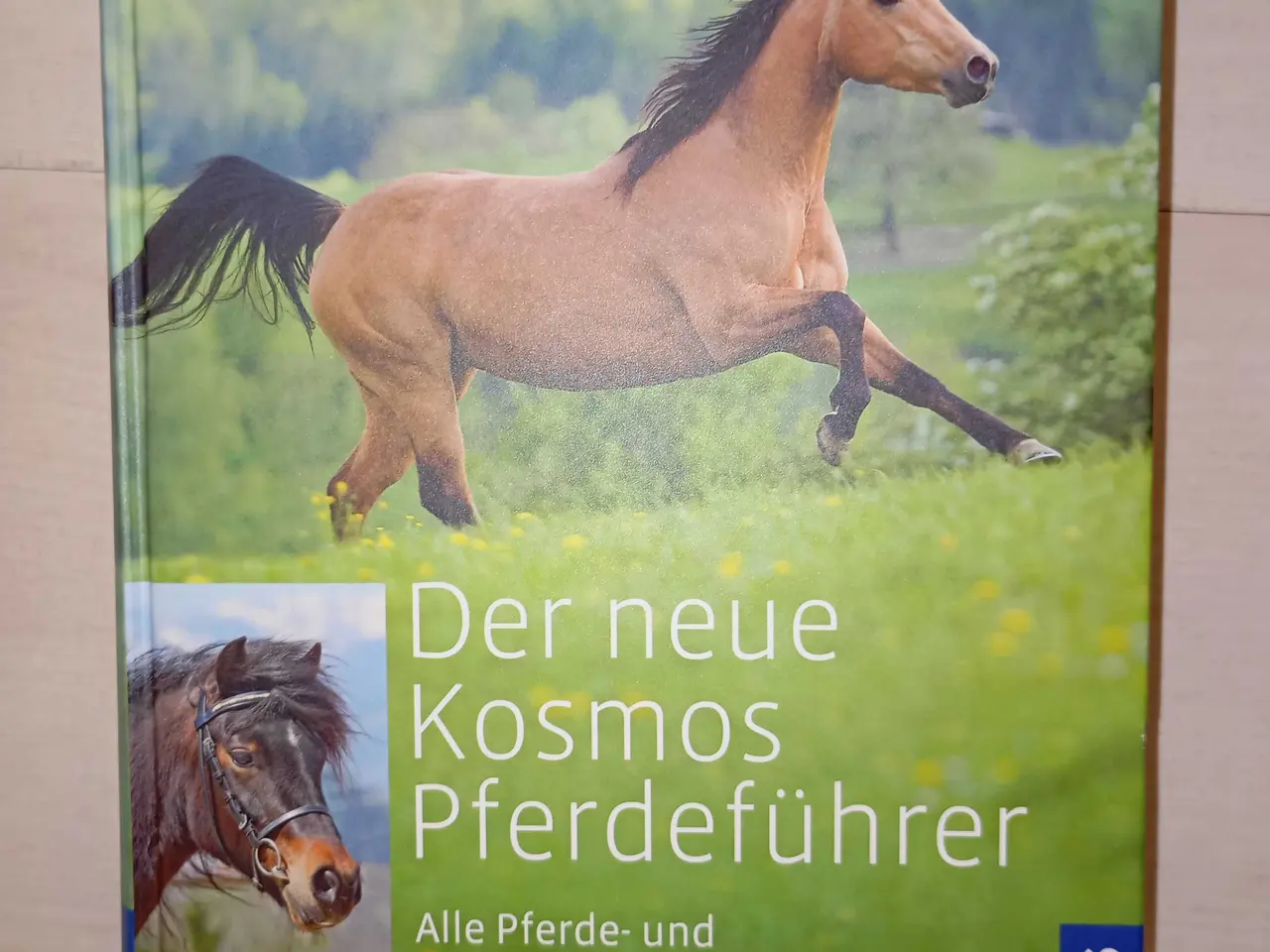 Billede 1 - Verdens pony og hesteracer. Flot bog