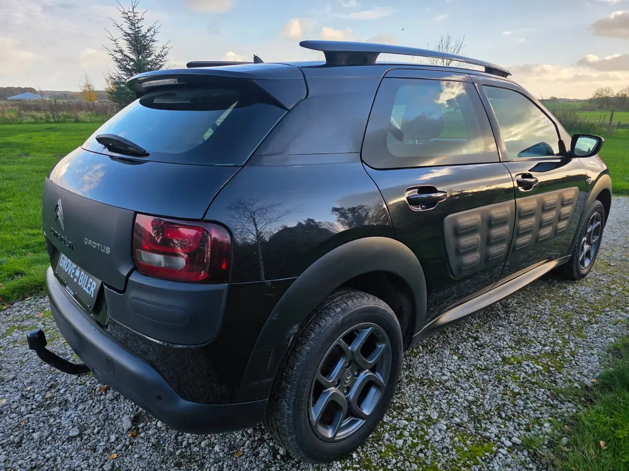 Billede 3 - Citroën C4 Cactus 1,6 BlueHDi 100 Shine Van