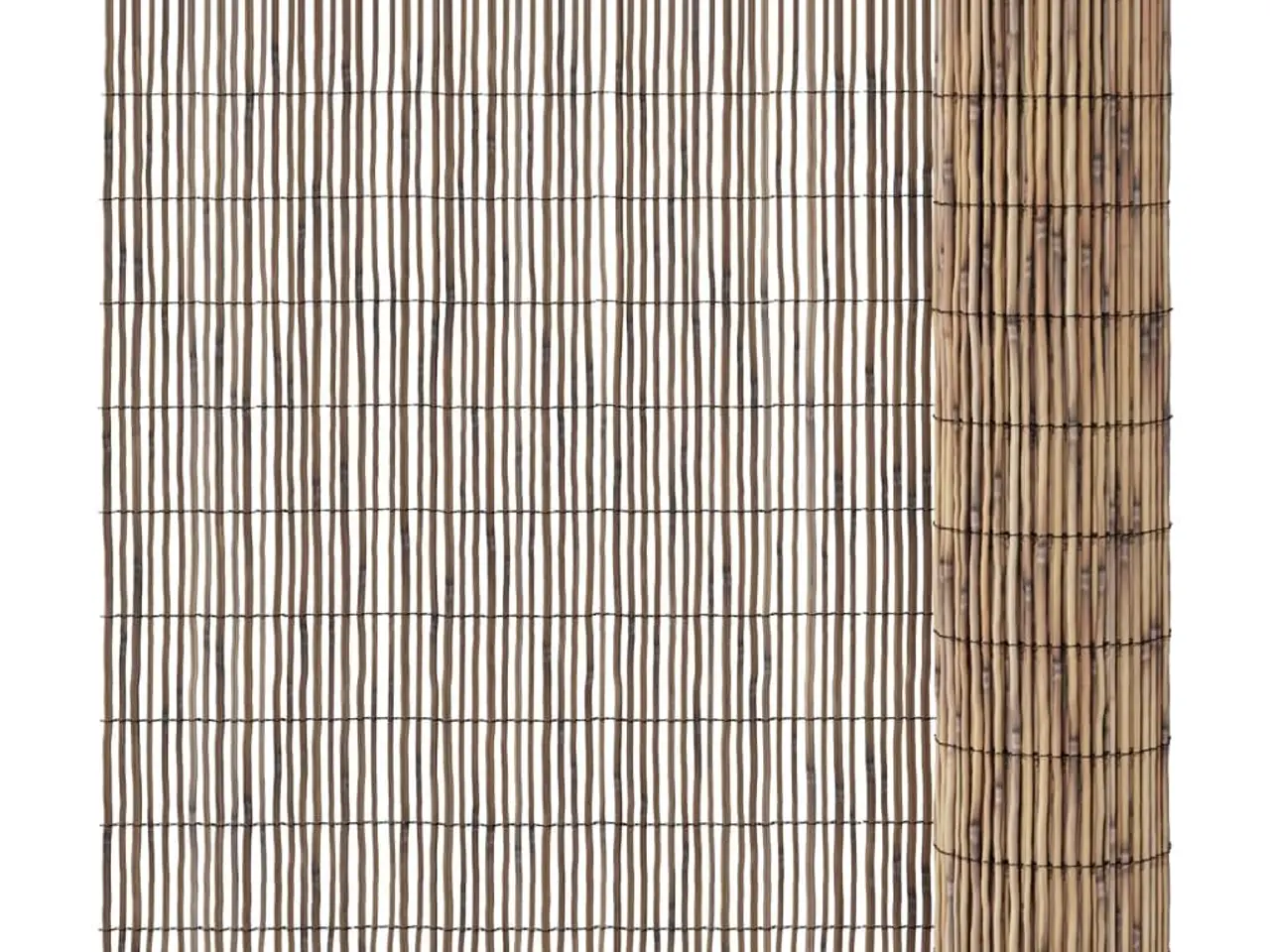 Billede 2 - Havehegn i siv - 600 × 100 cm rulle