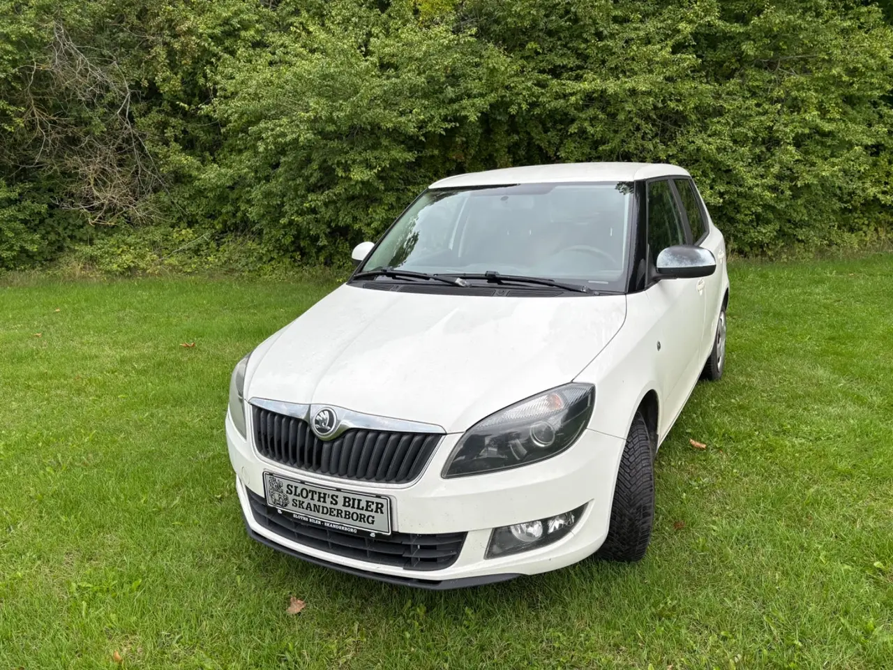 Billede 4 - Skoda Fabia 1,2 TSi 86 Tour de France
