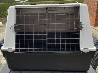 Hundetransportkasse