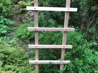 Espalier