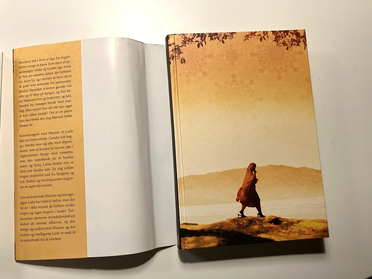 Billede 3 - Under en strålende sol. Af Khaled Hosseini