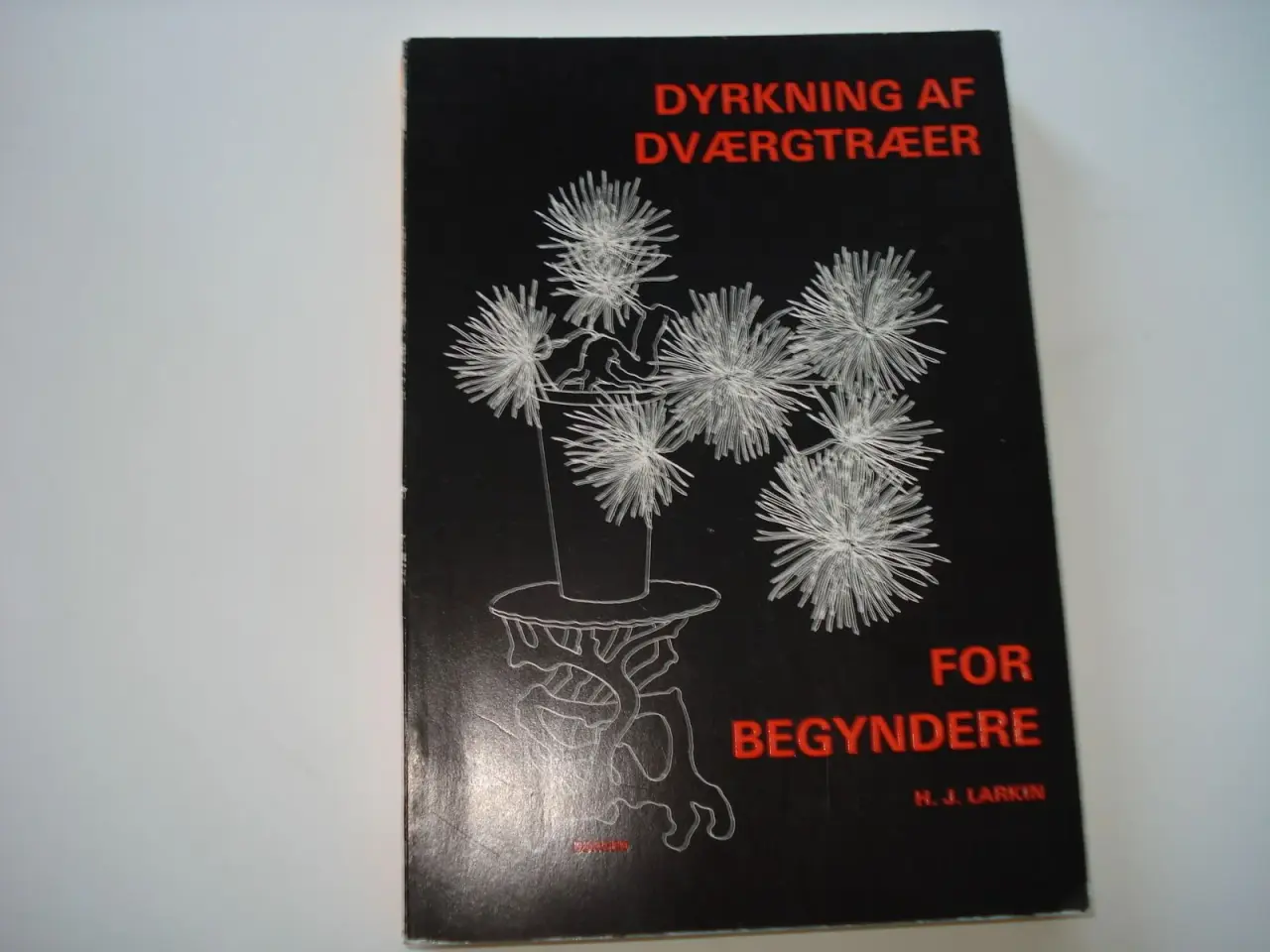 Billede 1 - Dyrkning af Dværgtræer for begyndere