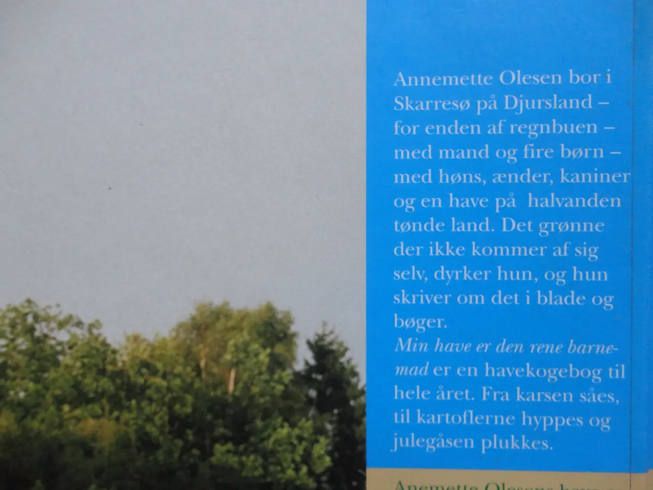 Billede 3 - Min have er den rene barnemad :