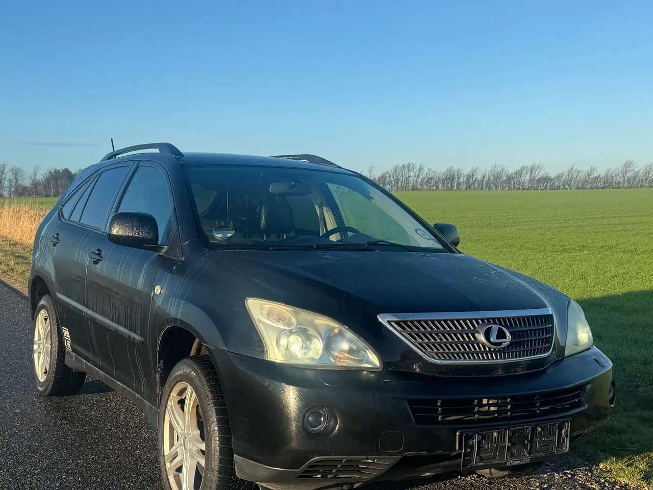Billede 7 - Lexus RX400H - benzin/hybrid