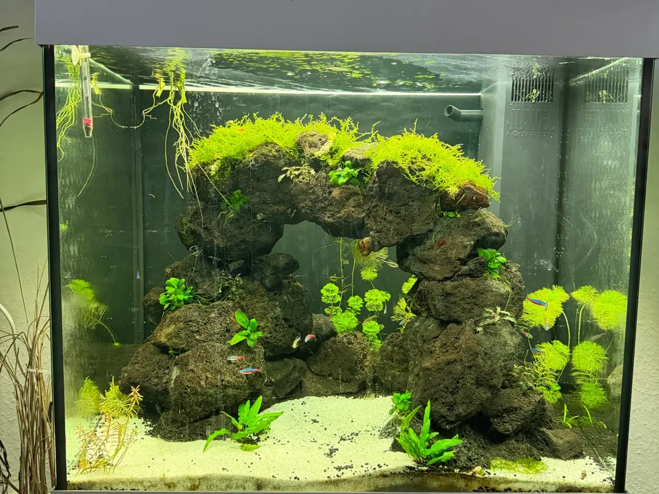 Billede 1 - Juwel Lido 200L