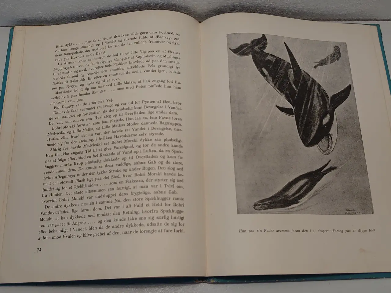Billede 5 - Harold McCracken:Havodderens Saga.ill.Paul Bransom