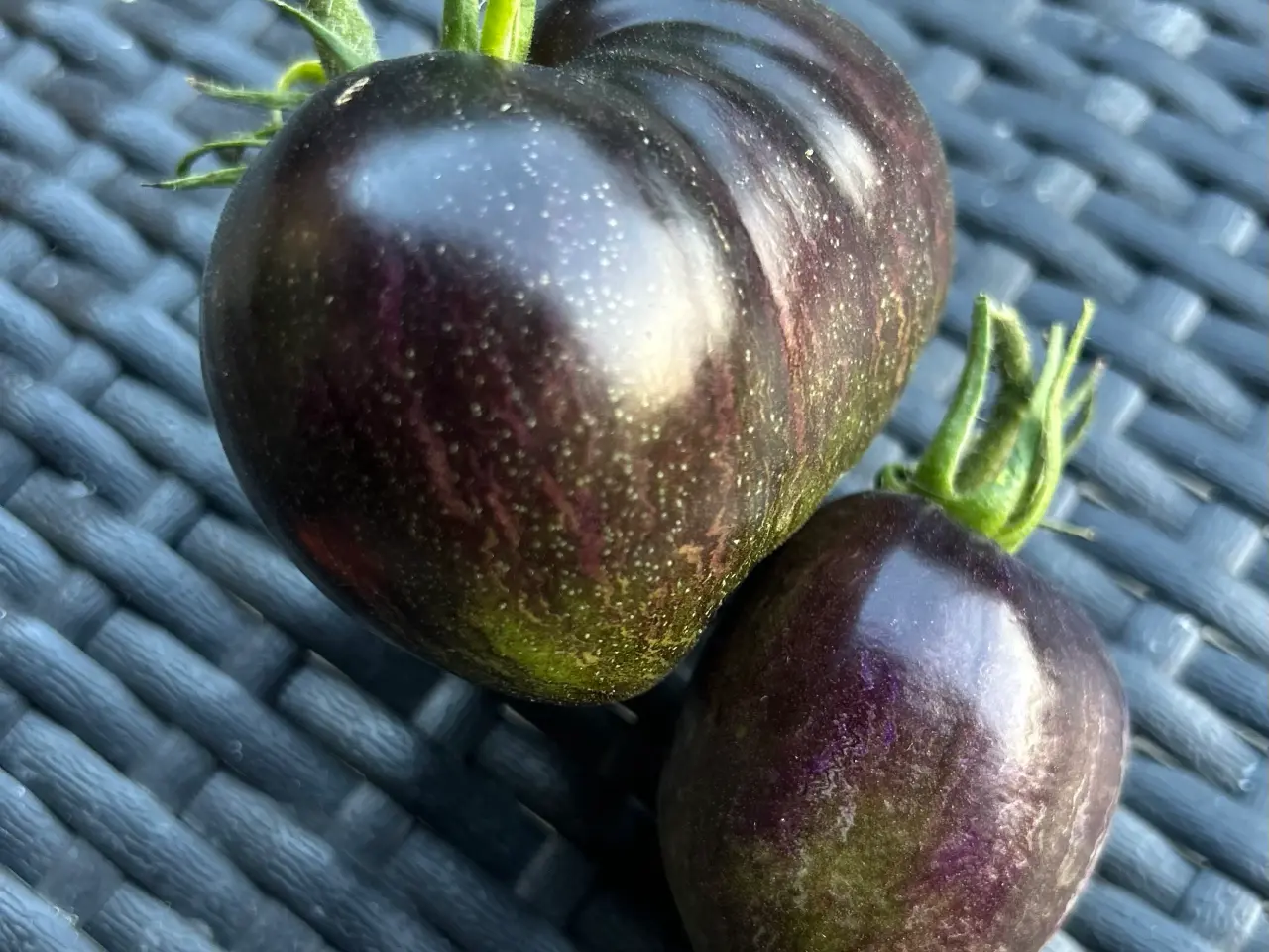 Billede 5 - Sunde frø af STORE tomater 🍅