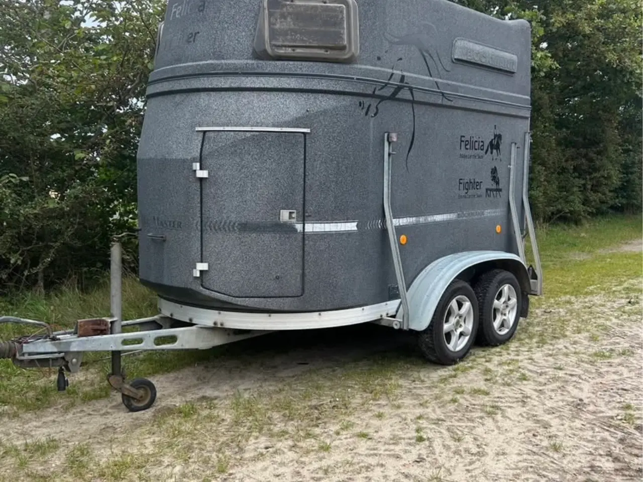 Billede 1 - Hestetrailer