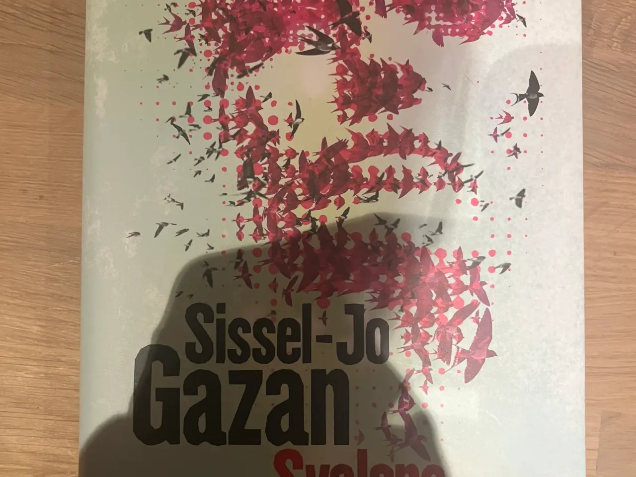 Billede 1 - Sissel-Jo Gazan - Svalens Graf