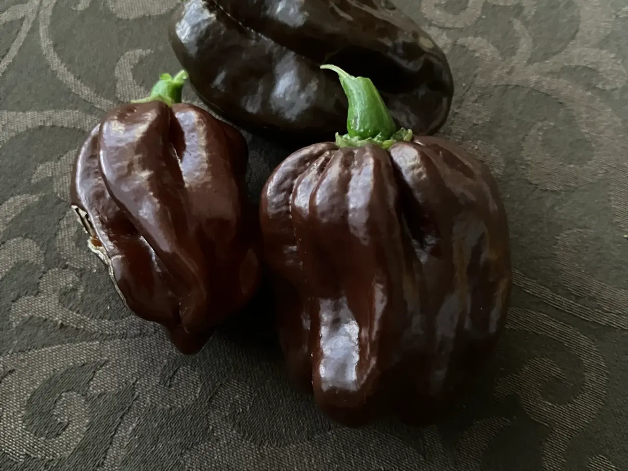 Billede 1 - Chili frø - se tekstfelt