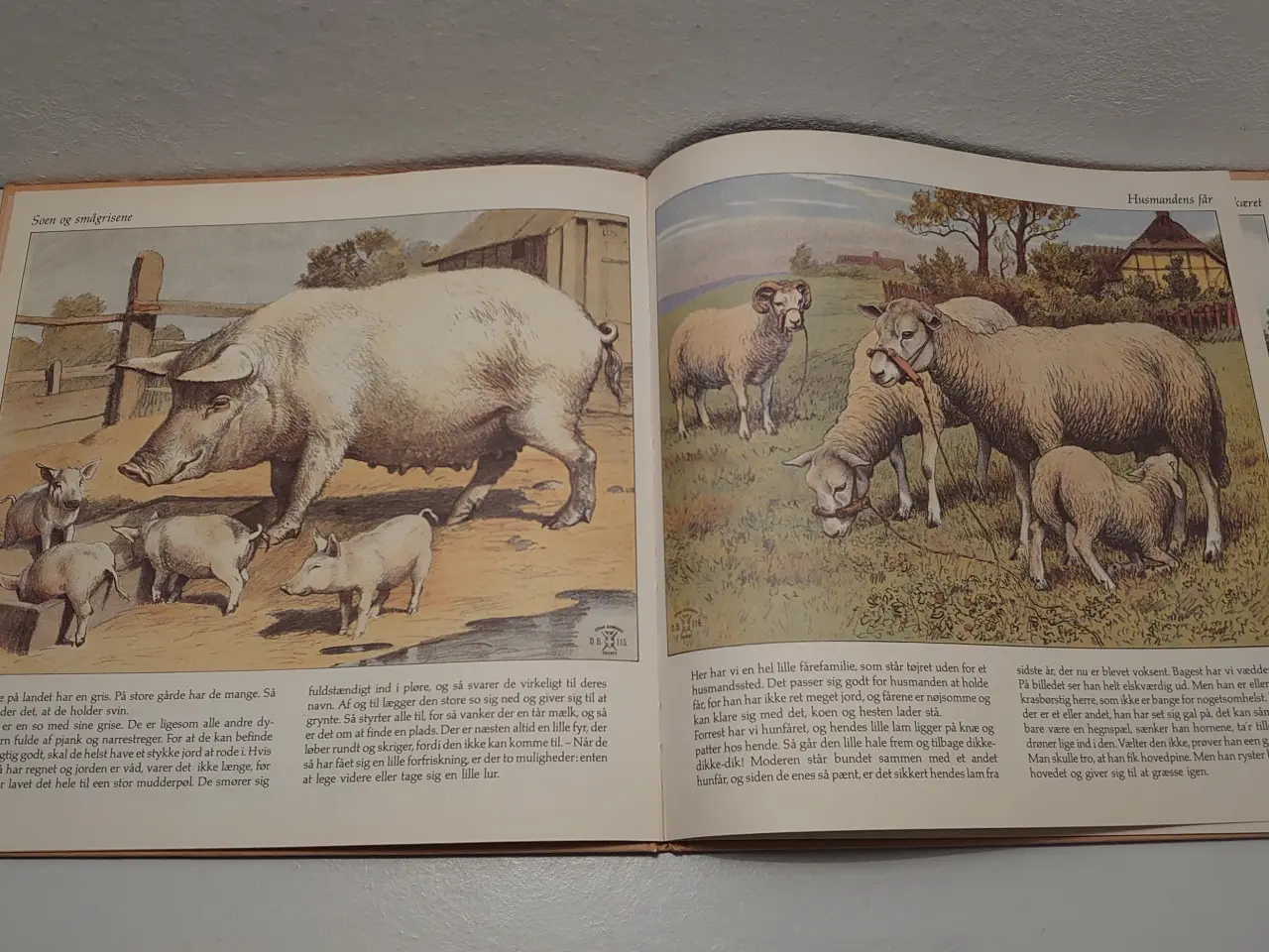 Billede 4 - Inge Aagaard Fauertoft: Oldemors dyrebog. 1982.