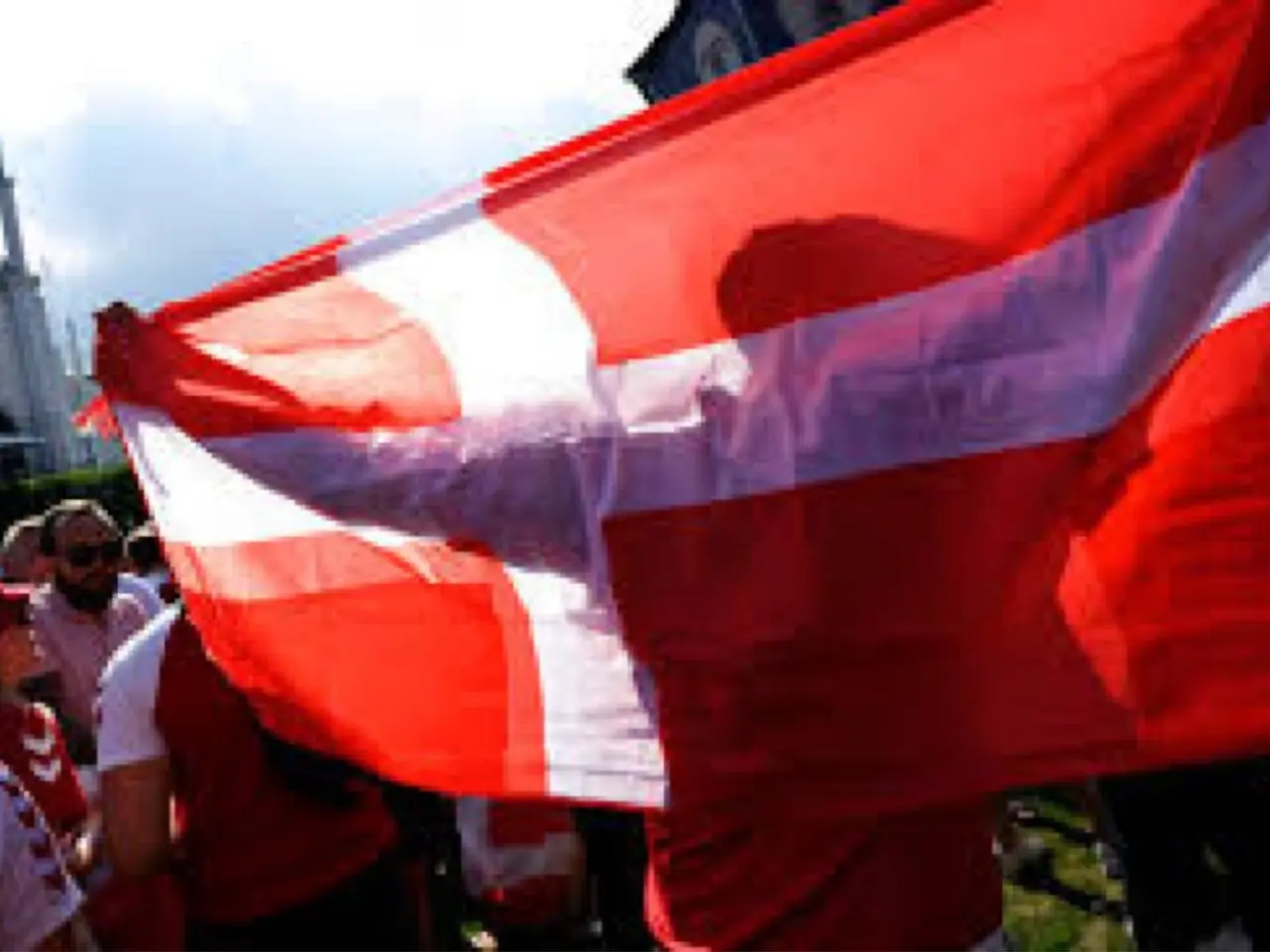 Billede 1 - Dannebrog / dansk flag 60x90 cm