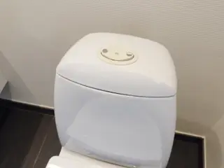 IFO toilet