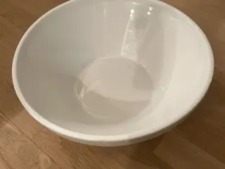 Dejfad stor hvid