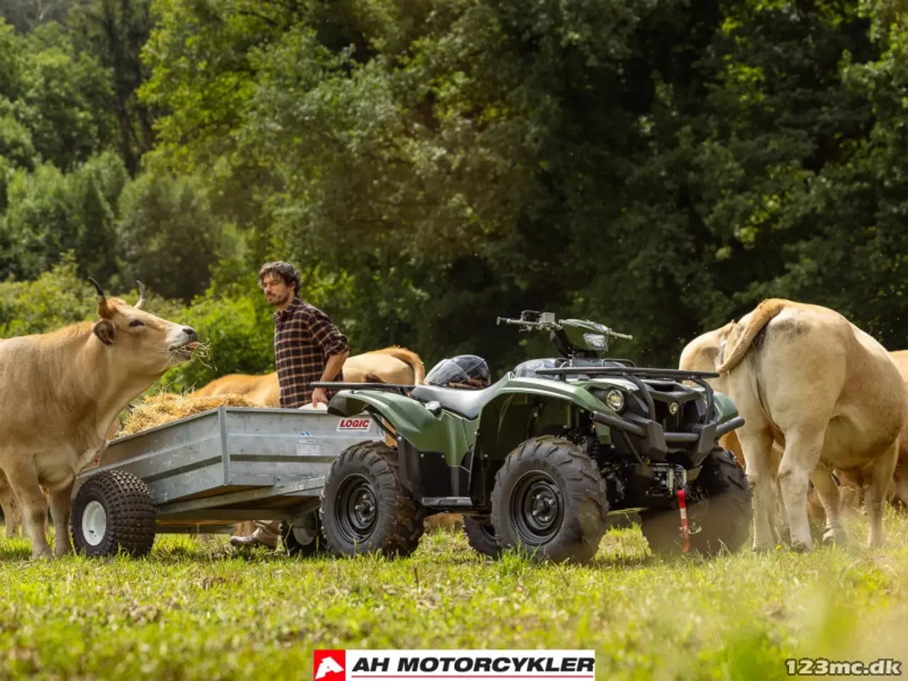 Billede 16 - Yamaha Kodiak 700 EPS STD