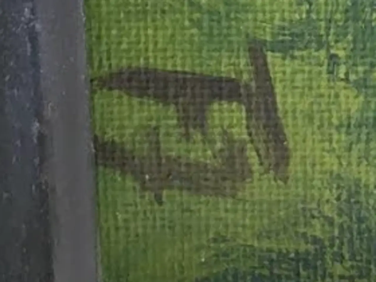 Billede 2 - Oliemaleri – 50×58 cm