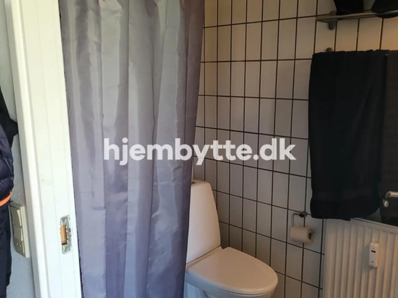 Billede 14 - Hjembytte - Enebærhegnet