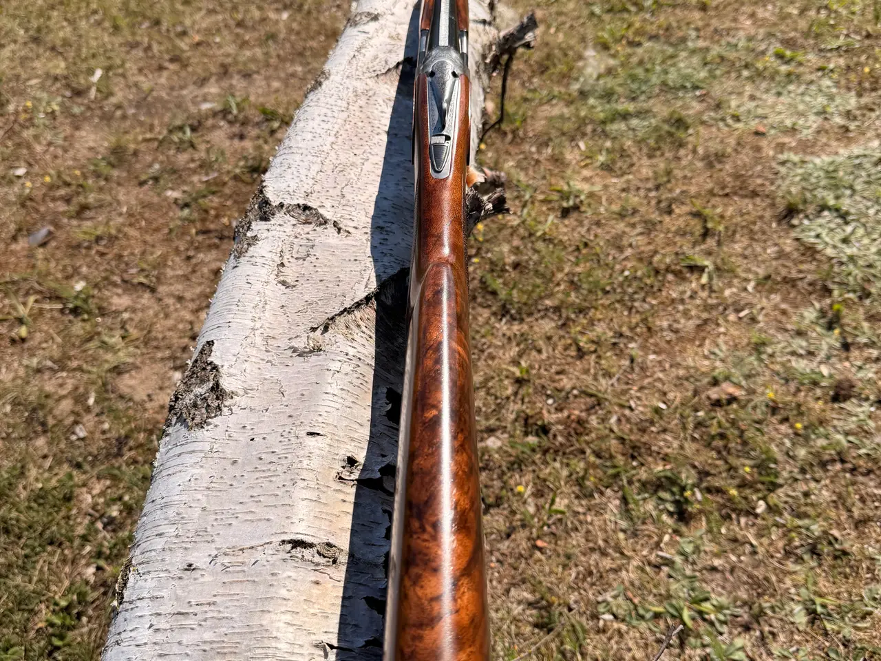 Billede 16 - Beretta 687 EELL 20/76 Med nye billeder