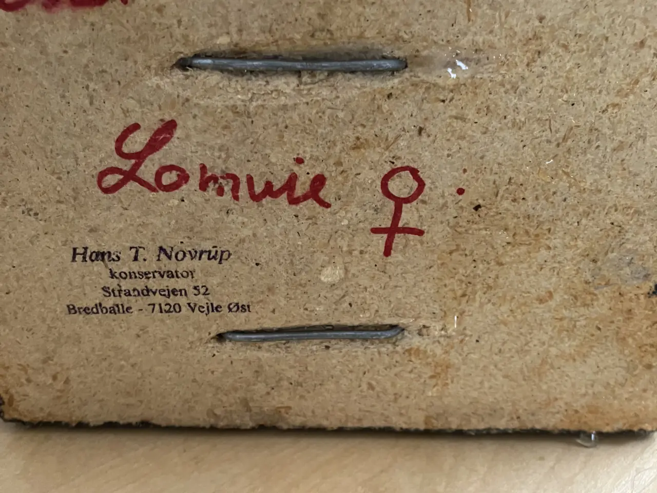 Billede 6 - Udstoppet Lomvie af konservator