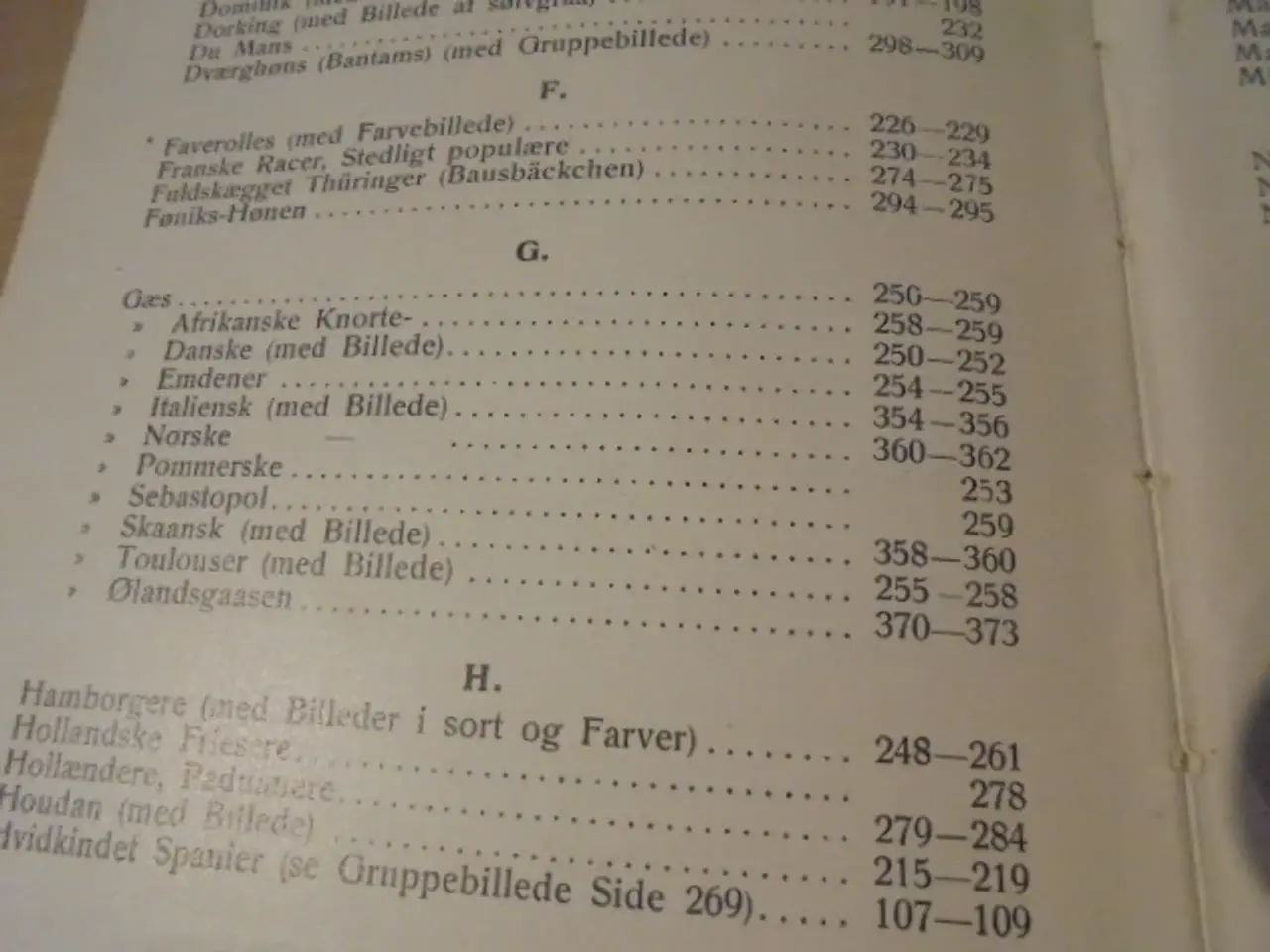 Billede 9 - Skandinavisk Fjerkræ Standard – fra 1934