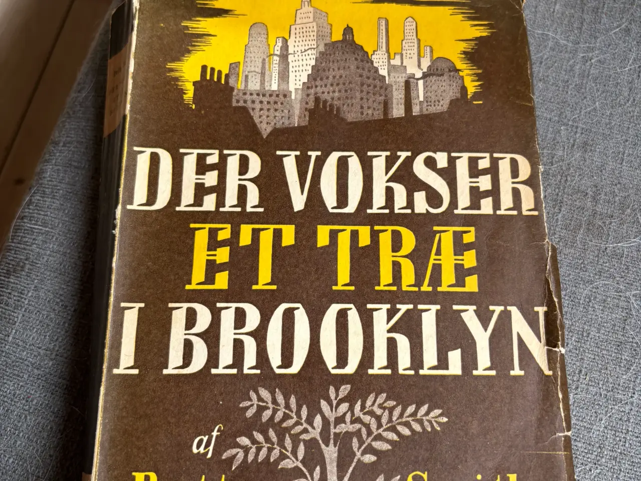 Billede 1 - Der vokser et træ i Brooklyn