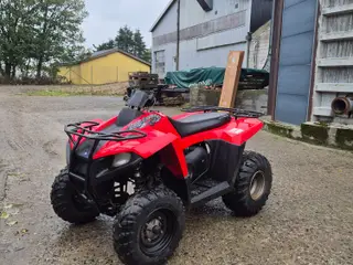 ATV Polaris Trailboss 330 2×4 2010