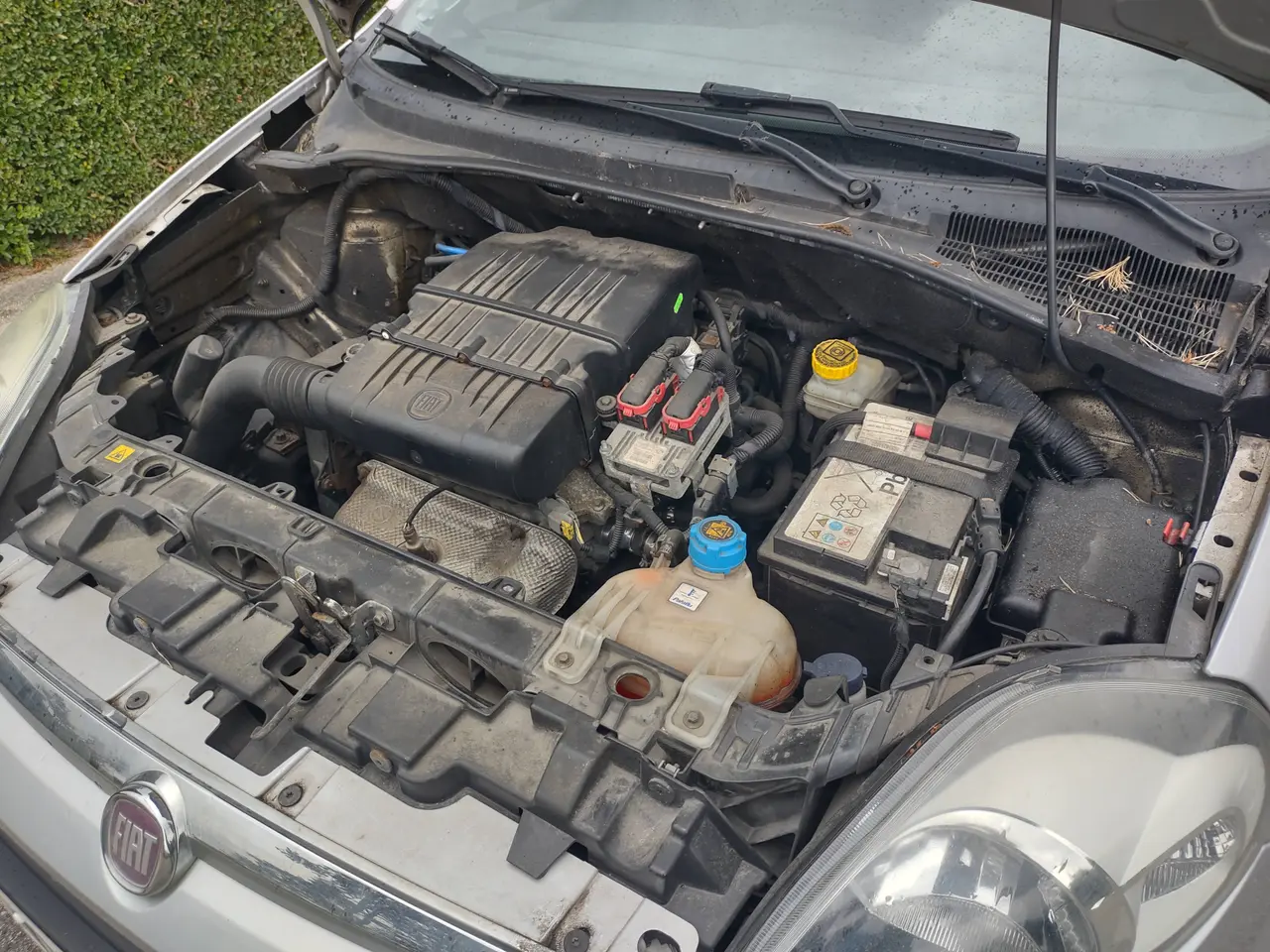 Billede 12 - Pæn og rustfri en-ejers Fiat Punto 1,4 77 HK