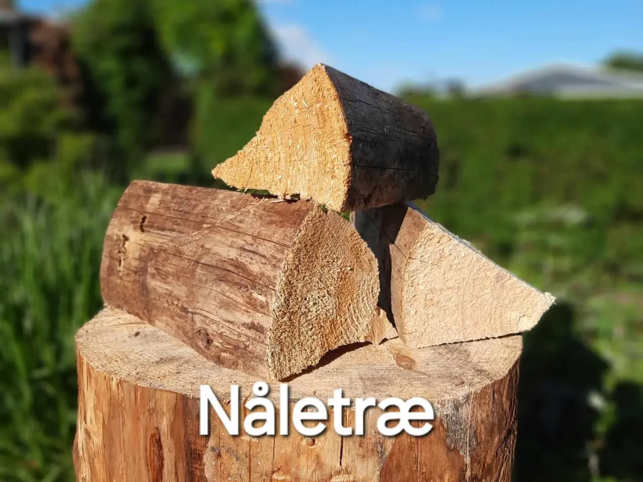 Billede 2 - TØRT BRÆNDE PÅ LAGER, LØVTRÆ ELLER NÅLETRÆ