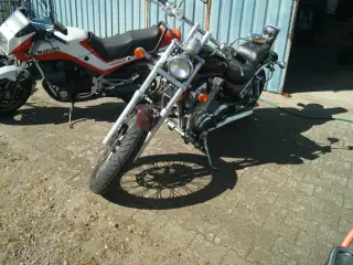 Veteran Chopper. Suzuki VS 1400 Intruder. u. syn.