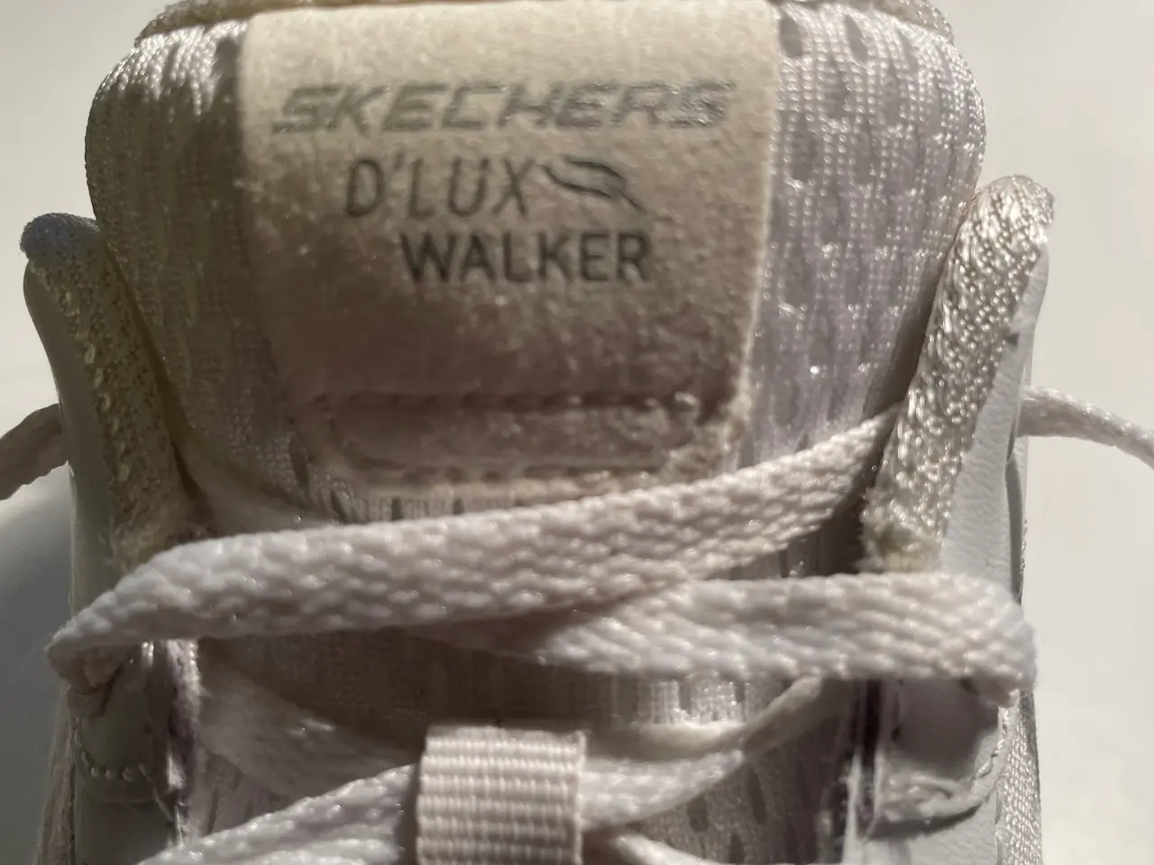 Billede 5 - Sketcher, str. 39, D’Lux Walker, Air-cooled. 