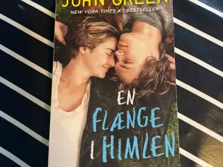 Bog - En flænge i himlen 