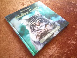 Maine Coon, Felis Danica