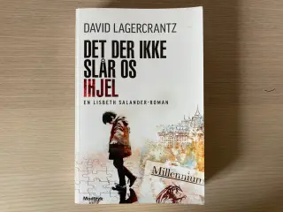 Det der ikke slår os ihjel - David Lagercrantz