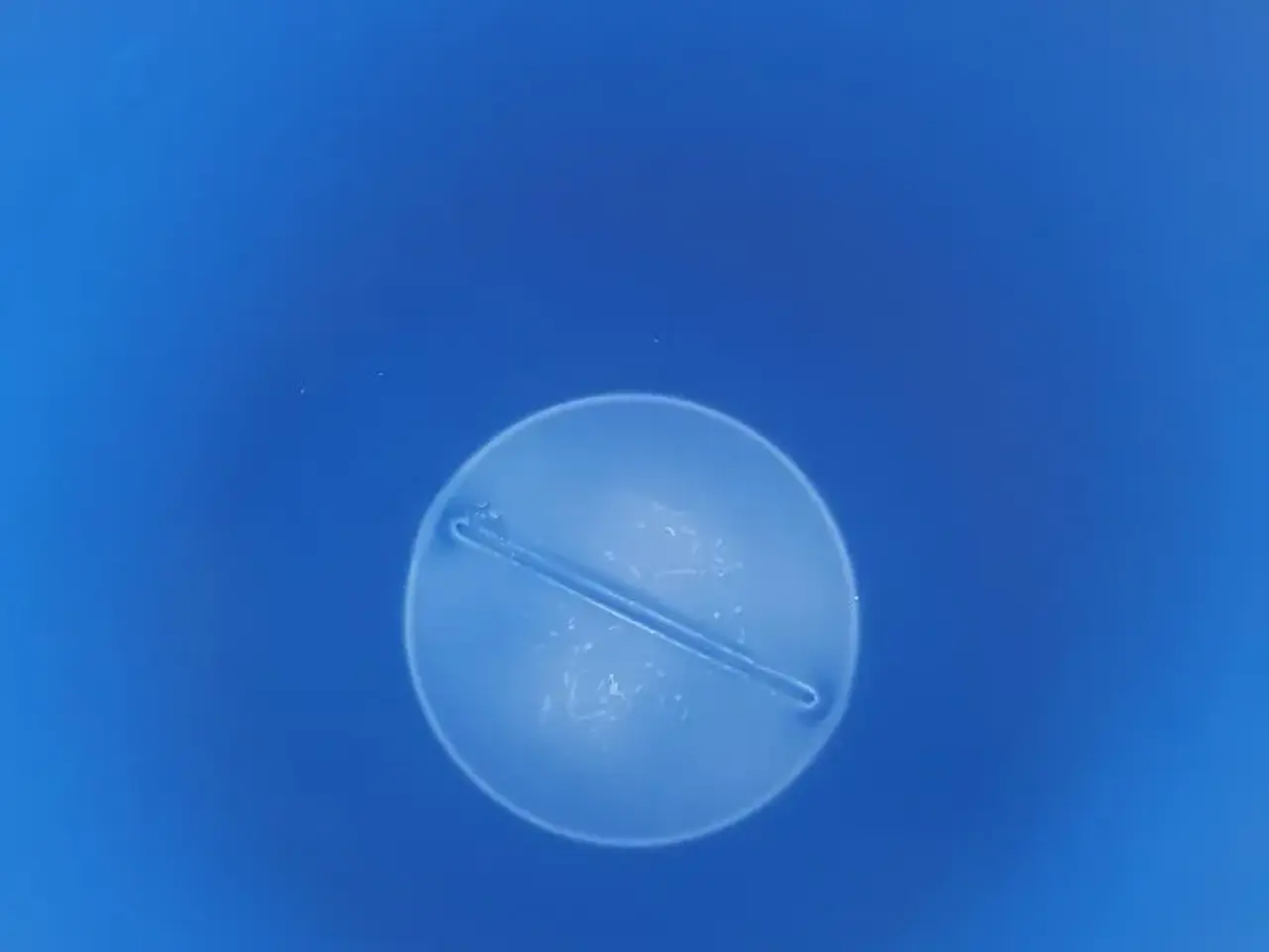 Billede 3 - Plasttønder 220 L - RENGJORTE!