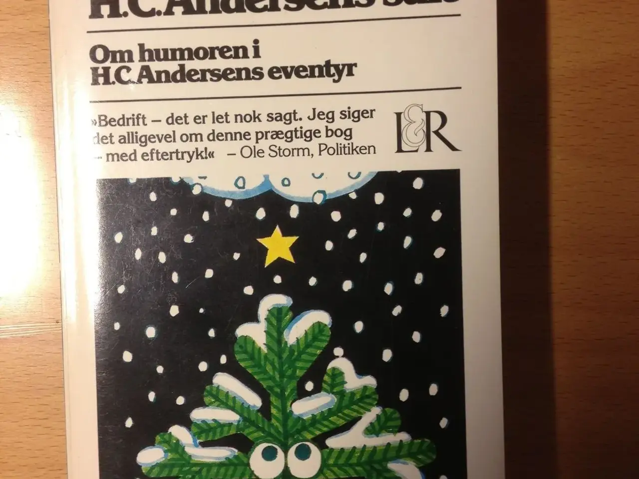 Billede 1 - H.C.Andersens salt