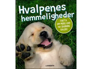 Hvalpens Hemmeligheder
