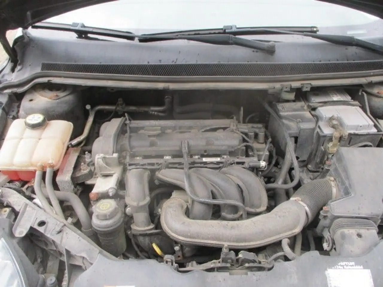 Billede 11 - Ford Focus 1,6 Trend
