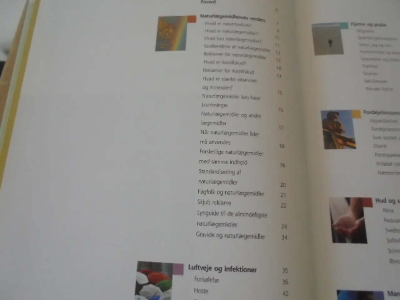Billede 2 - Politikens bog om naturlægemidler