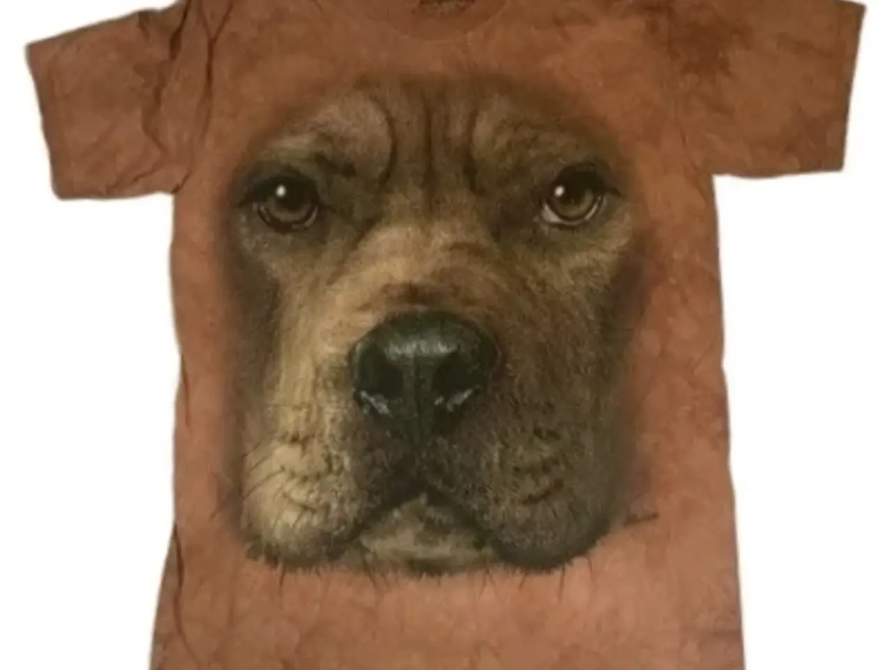 Billede 10 - The Mountain hunde T-shirts i flere str.