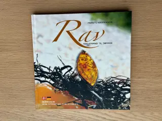 RAV - Fra strand til smykke