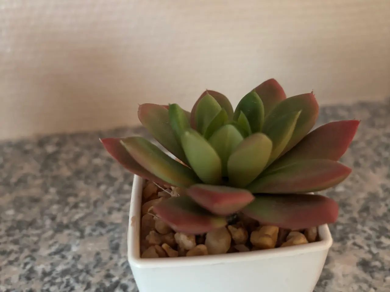 Billede 11 - 4 små plastik planter 